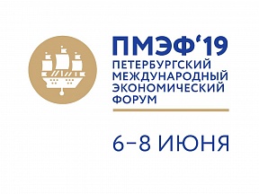 Петербургский международный экономический форум (ПМЭФ-2019)